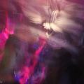 150704_GambrzFest2015_097