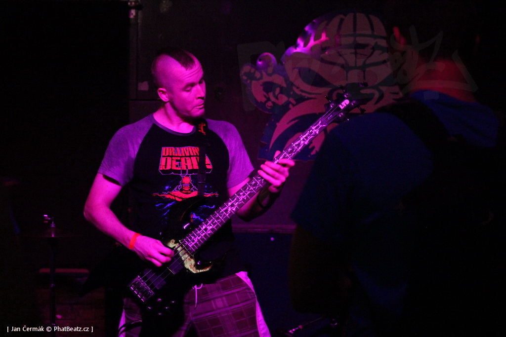 150704_GambrzFest2015_169