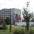 150913_StreetArtFestival_43