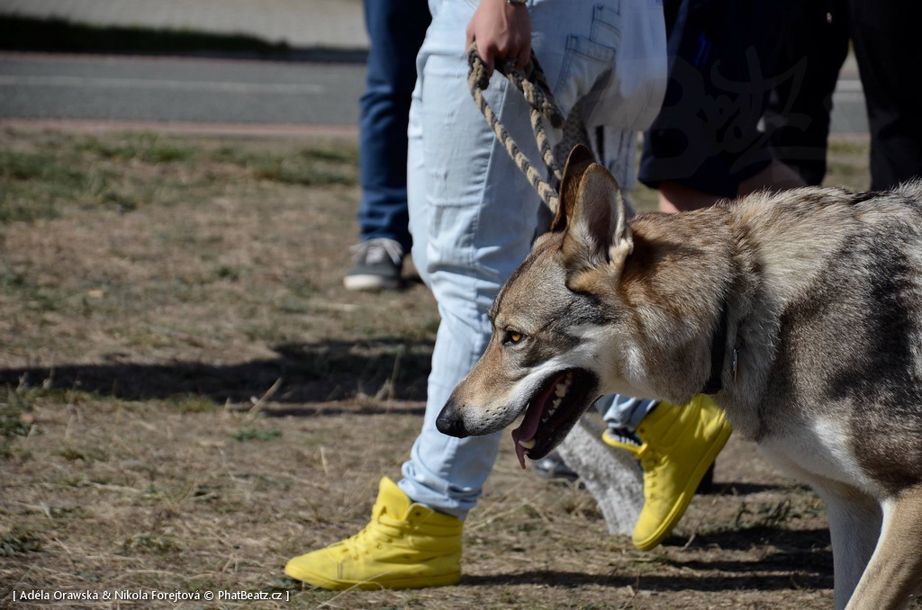150919_SpeedStop2015_087