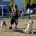 150919_SpeedStop2015_196