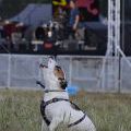 150919_SpeedStop2015_214