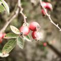 151003_PhtBtzRckJm15_06