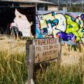 151003_PhtBtzRckJm15_10