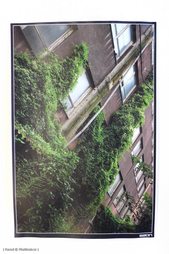 151107_UrbanExploring_45