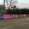 160213_Tesnov_02