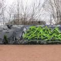160320_AnspruhenSpike_10