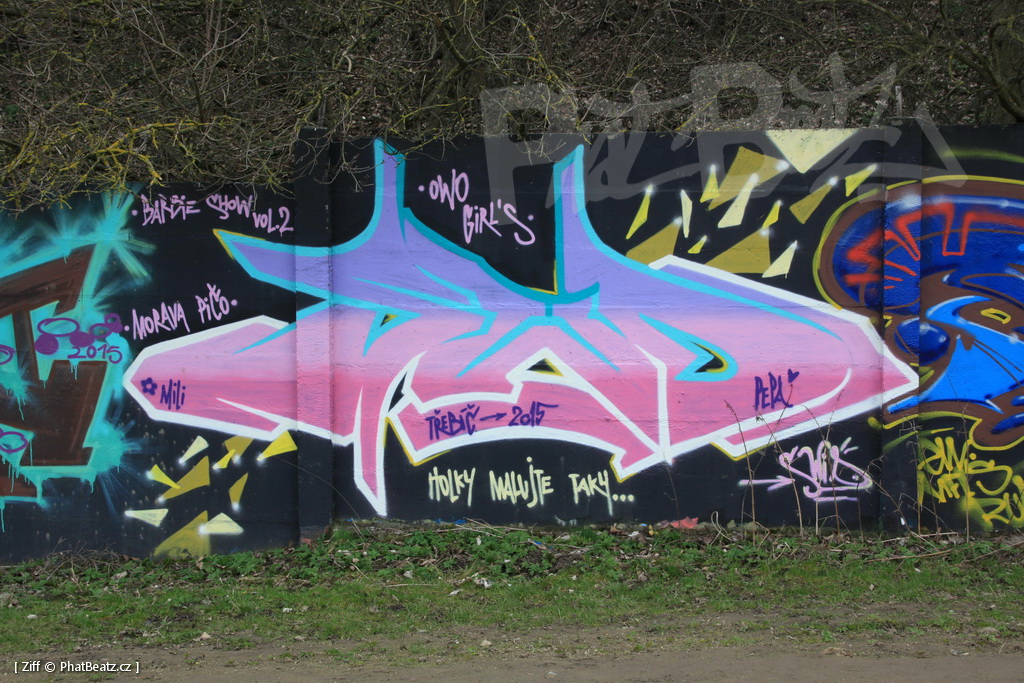 160326_Trebic_21