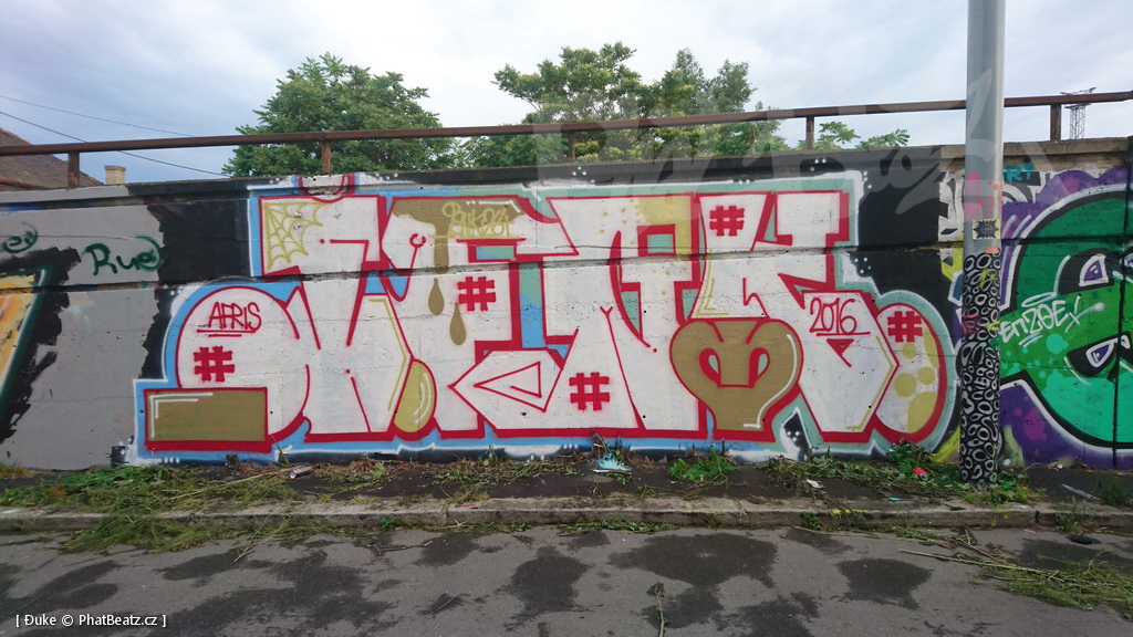 160618_Bubny2016_05