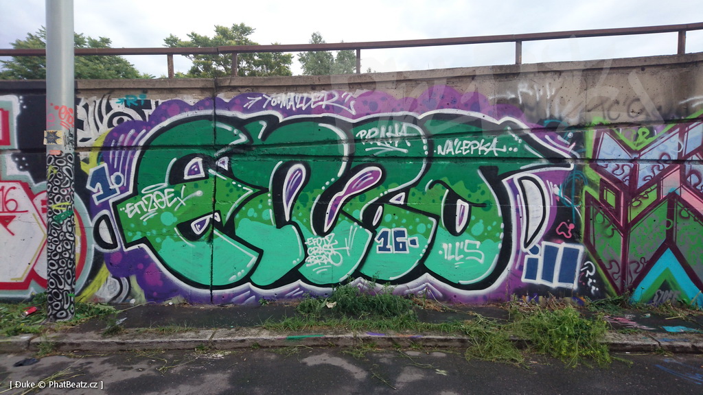 160618_Bubny2016_06