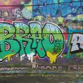 160618_Bubny2016_09