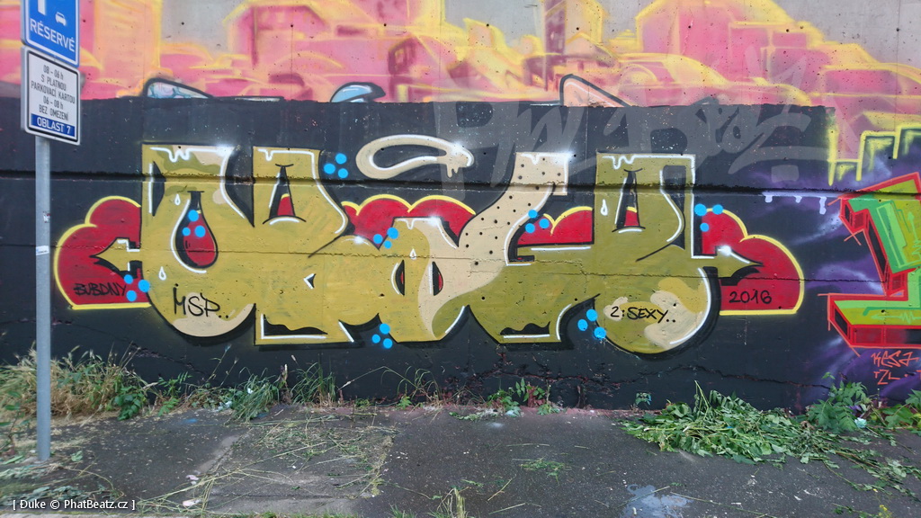 160618_Bubny2016_11