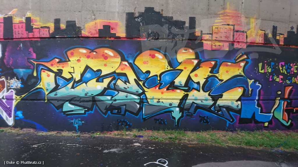 160618_Bubny2016_17