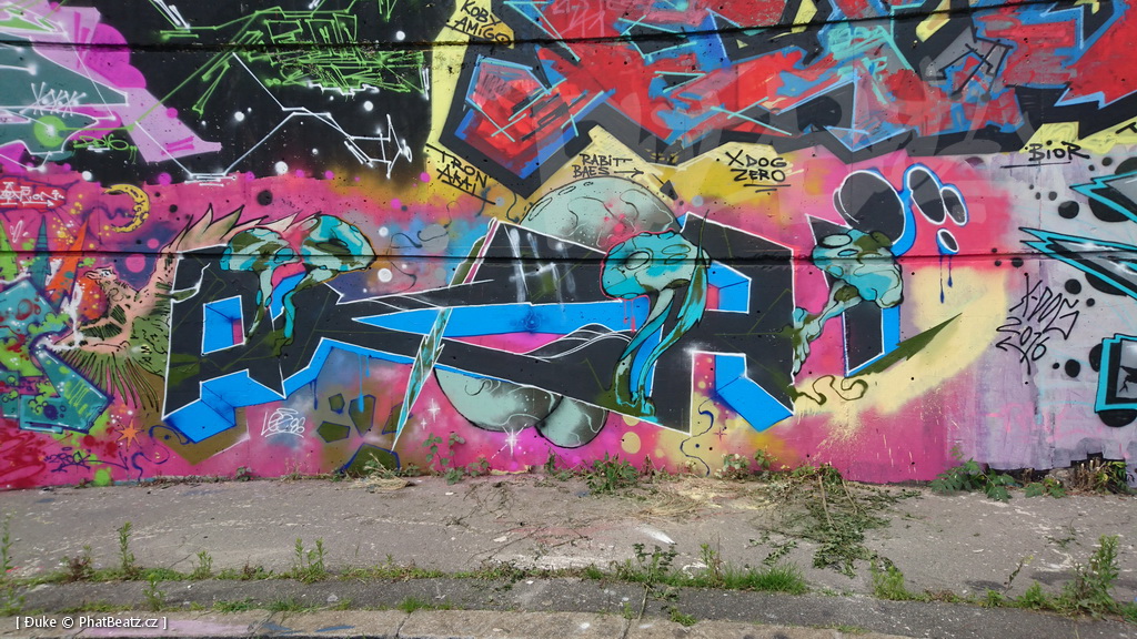 160618_Bubny2016_31