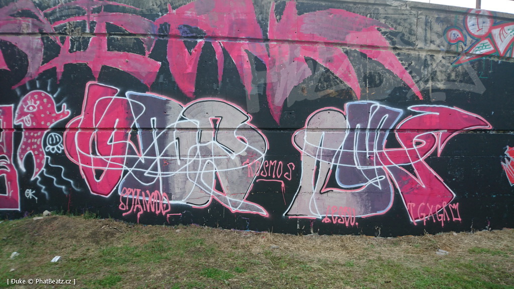 160618_Bubny2016_52