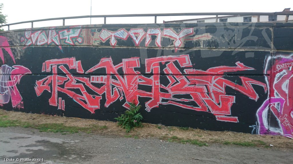 160618_Bubny2016_53