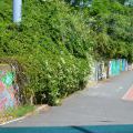 160627_Malesicka_01