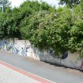 160627_Malesicka_06