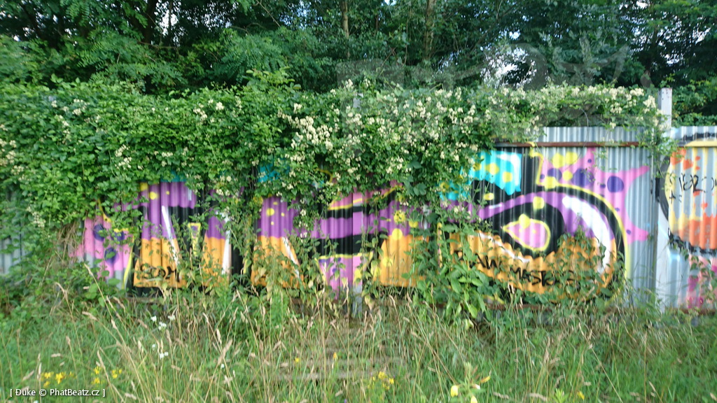 160701_Sutka_13