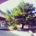 160722_Krvavice_16