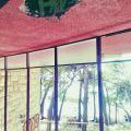 160722_Krvavice_22