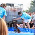 160820_HHK2016_PavelZaoral_022