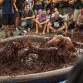 160820_HHK2016_PavelZaoral_053