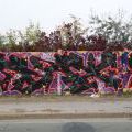 161001_Pantograff3_33