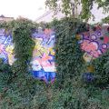 161001_Smeral_52