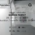 161025_Silicon_05