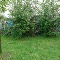 170428_SrotBreclav_02