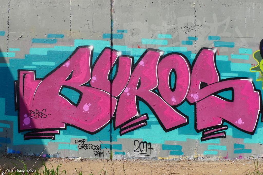 170429_LoopGrafficonKam_056