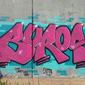 170429_LoopGrafficonKam_056