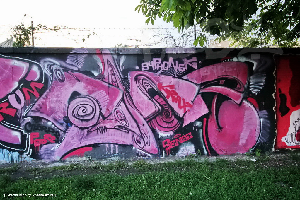 170506_PantograffitiSmeral_10