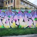 170506_PantograffitiSmeral_54