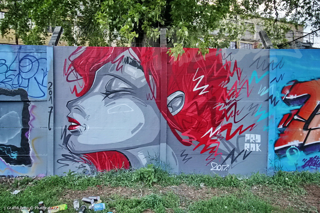 170506_PantograffitiSmeral_63