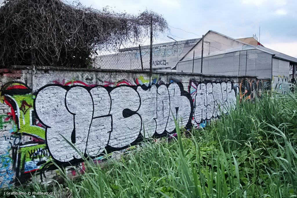 170506_PantograffitiSmeral_96