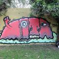 170513_MorawaPycoZenit_12