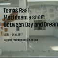 170611_TomasRasl_02