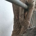 180228_Epos257_55