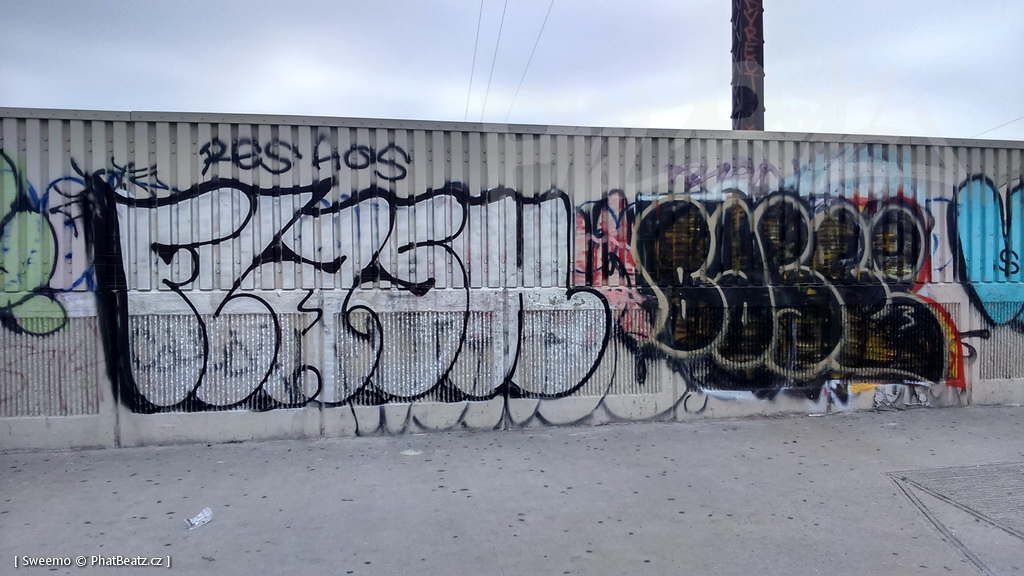 1805-07_Bronx_TUPS_026