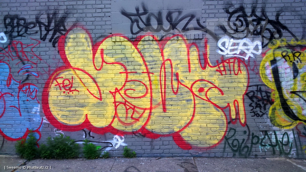 1805-07_Bronx_TUPS_034
