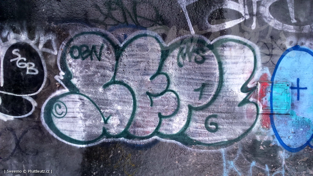 1805-07_Bronx_TUPS_044
