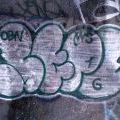 1805-07_Bronx_TUPS_044