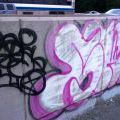 1805-07_Bronx_TUPS_061