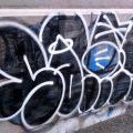 1805-07_Bronx_TUPS_066