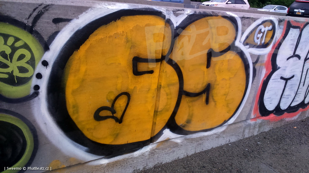 1805-07_Bronx_TUPS_070