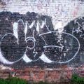 1805-07_Bronx_TUPS_102