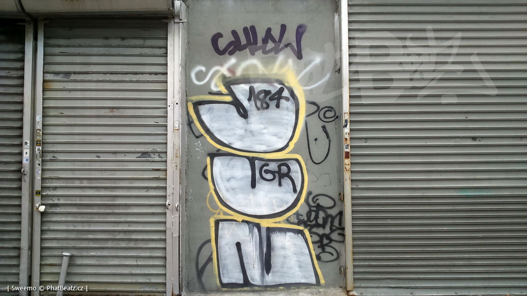 1805-07_Bronx_TUPS_139