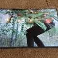 180523_Epos257_05